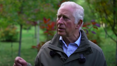 Prince Charles, allegedly Royal, asked Meghan Markle about the child's complexion
