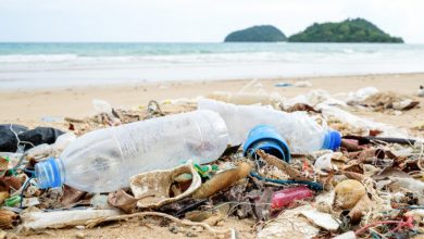 Litter on beaches has fallen to the lowest level for more than 20 years, according to the country’s largest annual clean-up event.