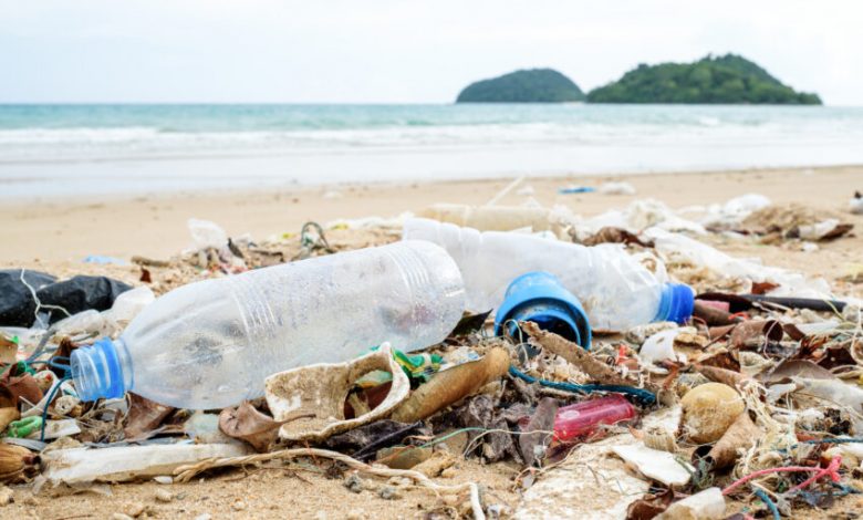 Litter on beaches has fallen to the lowest level for more than 20 years, according to the country’s largest annual clean-up event.