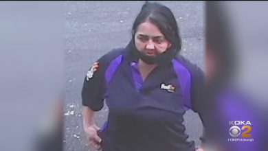 Woman Dressed As FedEx Delivery Worker Caught On Video Stealing Packages In Pittsburgh – CBS Pittsburgh