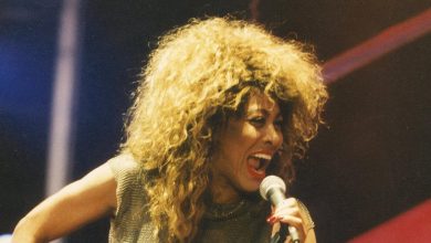 Tina Turner Sues German Impersonator Over Tribute Show
