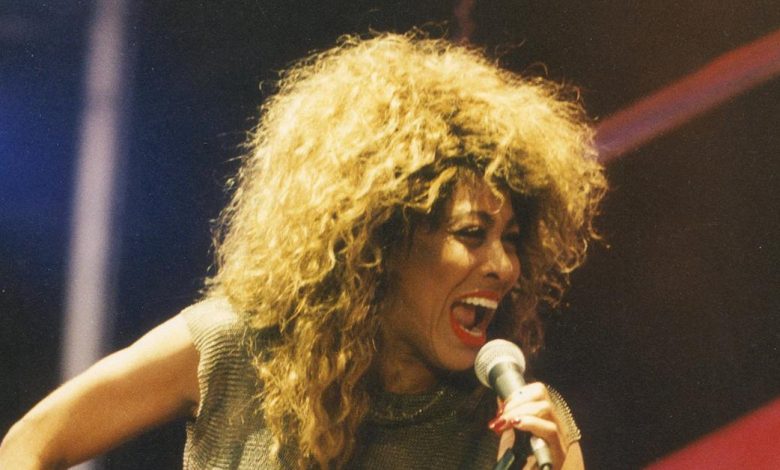 Tina Turner Sues German Impersonator Over Tribute Show