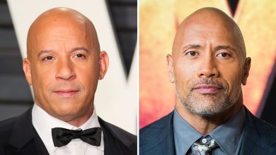 Vin Diesel Asks Dwayne Johnson Back to Franchise – The Hollywood Reporter