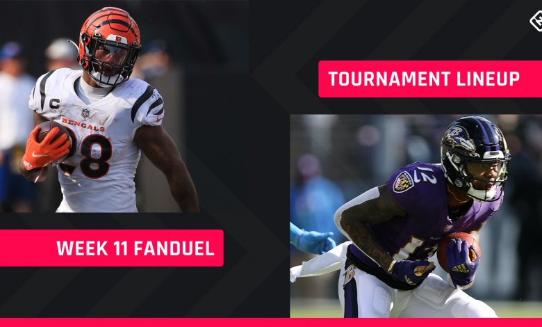 FanDuel Picks Week 11: NFL DFS lineup tips for daily fantasy soccer GPP tournaments