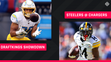 Sunday Night Football Draft Picks: NFL DFS Squad Tips for Steelers-Chargers Showdown Week 11 Tournaments