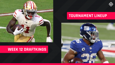 DraftKings Week 12 picks: NFL DFS roster tips for daily fantasy football GPP tournaments