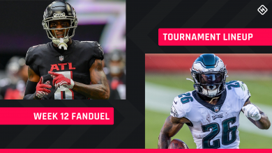 FanDuel Picks Week 12: NFL DFS roster tips for daily fantasy football GPP tournaments