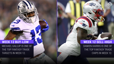 Fantasy Football Stock Watch Buy Low, Sell High: Michael Gallup, Damien Harris among top trade contenders heading into Week 12