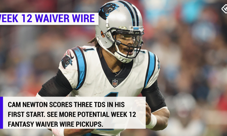 Best fantasy football waiver wire pickups for Week 12