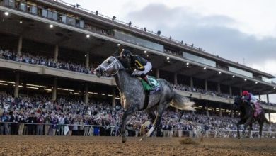 Knicks Go Wins Breeders' Cup Classic in Front-Running Fashion