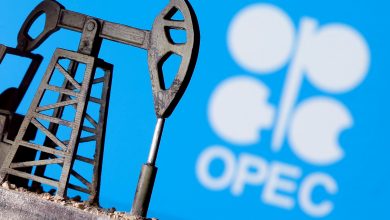 Oil market polarizes as OPEC dismisses concerns about omicron