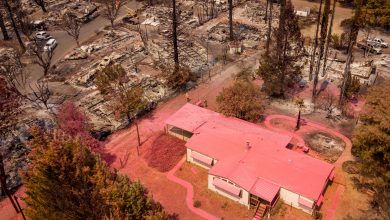 Protecting homes against wildfires: Frontline, Firemaps, other startups
