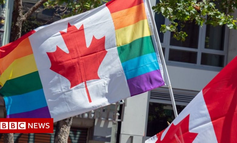 Canadian MPs vote to ban LGBT 'conversion therapy'