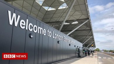Terrorist arrested at London Stansted airport