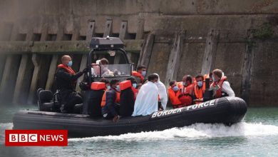 Canal migrants: Pushing back boats will increase danger, MPs warn