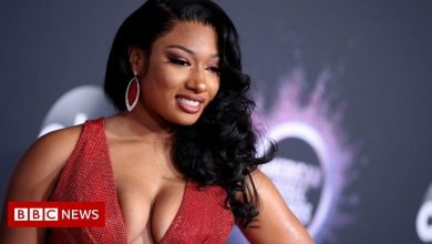 Megan Thee Stallion 'asked to dance' by Tory Lanez before allegedly shooting