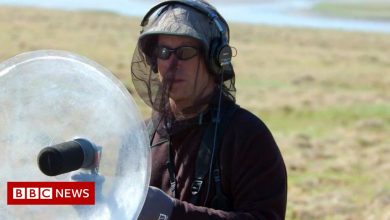 Martyn Stewart: The David Attenborough of Sound