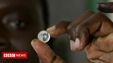 Why don't Gambians stop voting with marbles?