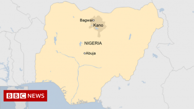 Nigerian boat capsizes: At least 29 dead in Kano . state