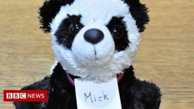 Radish Awards 2021: 'Panda Mick' Wins Forgery Art Award