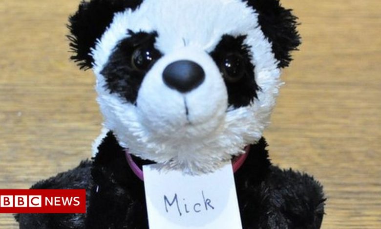 Radish Awards 2021: 'Panda Mick' Wins Forgery Art Award