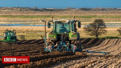 New scheme to pay farmers to protect winter land
