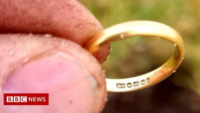 Wedding ring lost in 1960 Uist potato found
