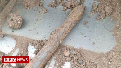 Unexploded wartime bomb disrupts train services in Hampshire