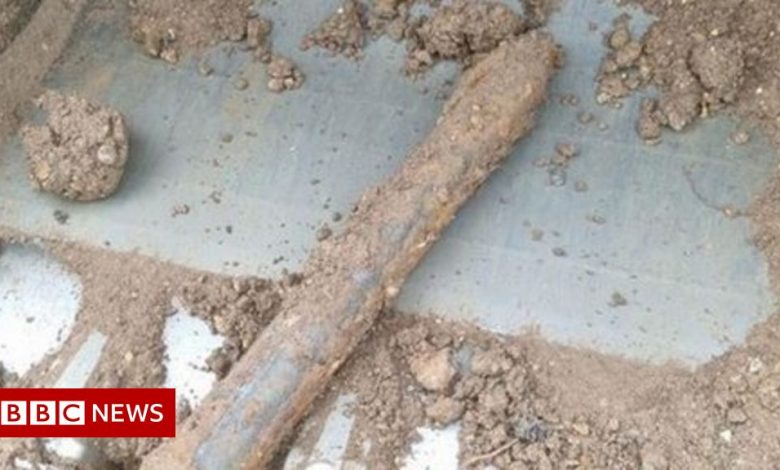 Unexploded wartime bomb disrupts train services in Hampshire
