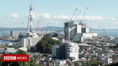 Climate change: Japan's 'green hydrogen' answer to coal?