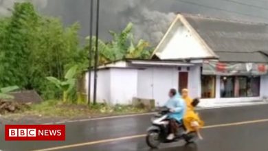 Indonesian volcano: Residents flee as Mt Semeru spews huge ash cloud