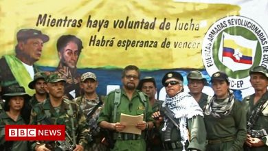FARC: Colombian rebel commander 'El Paisa' killed in Venezuela