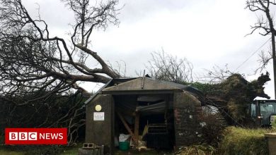 Storm Barra: Wales power cuts and ferry cancellations