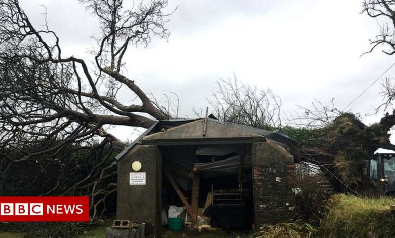 Storm Barra: Wales power cuts and ferry cancellations