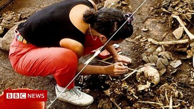 Woman digging for truth in mass grave