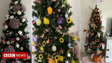 The couple keeps the Christmas tree all year round