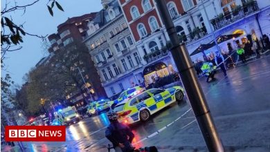Kensington: Gun found after fatal shooting in west London