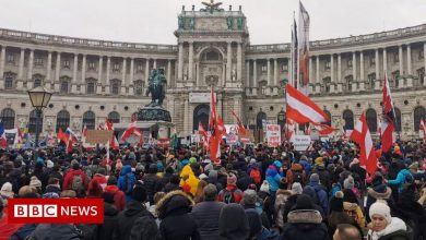 Covid in Austria: Mass protests in Vienna against the measures