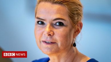 Inger Stoejberg: Jail of ex-Denmark minister for secession