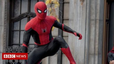 Spider-Man: No Way Home plays the 'bestselling' role and pleases the critics