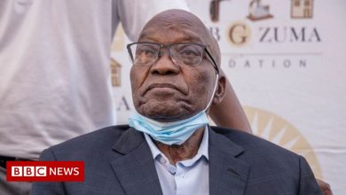 Jacob Zuma: South African court orders ex-president back to prison