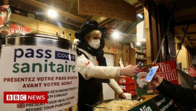 Covid: France strongly restricts travel from the UK