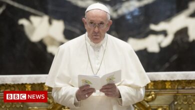 Pope Francis condemns abuse in the family as "almost satanic"