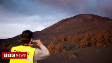 Spain's La Palma volcano erupts after three months