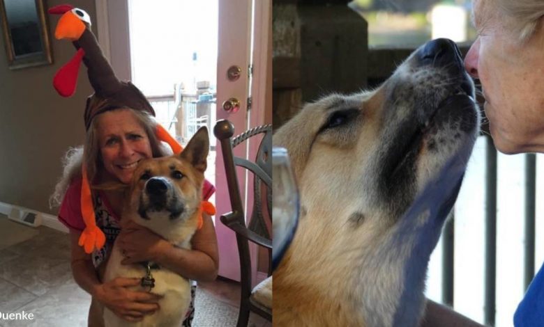 After being saved from a dogfight, Pooch becomes a loving 'protector'