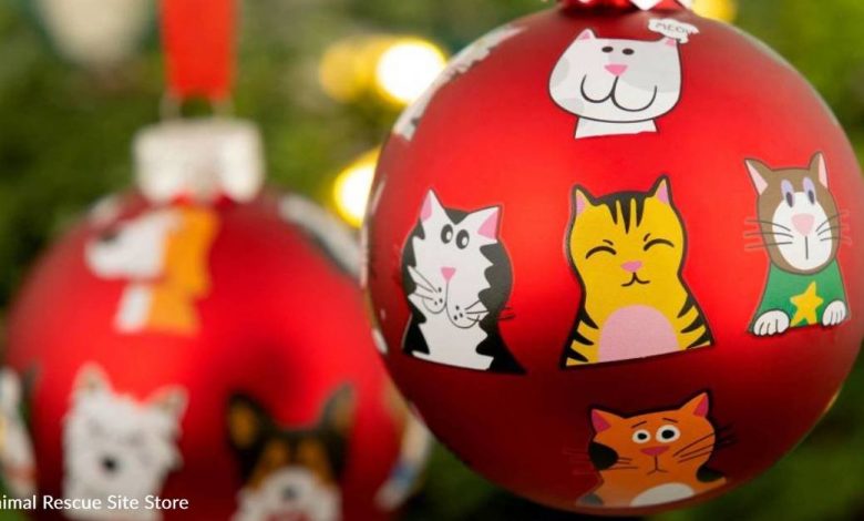 Purr-fect holiday gifts for cat lovers