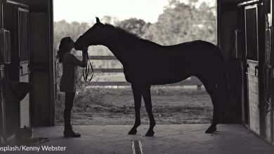 Adoption of a horse helps a girl with crippling anxiety feel good and changes her life