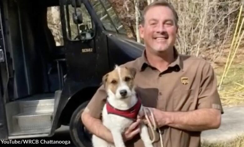 UPS driver finds woman's missing dog just in time for Christmas