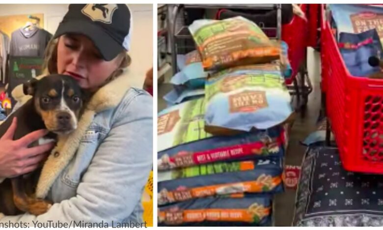 Miranda Lambert donates supplies to animal shelters in Tennessee