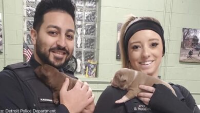 Detroit police rescue malnourished dog and her cubs from abandoned home